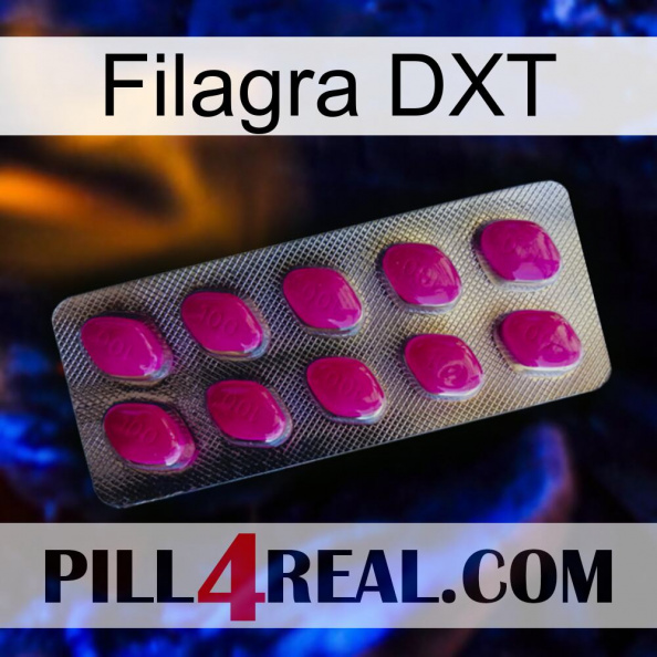 Filagra DXT 09.jpg